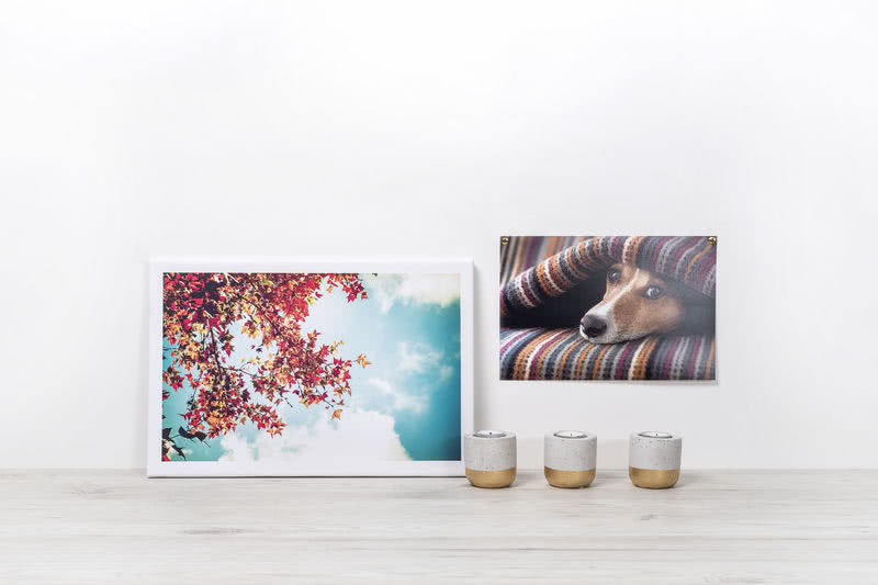 canvas en wanddecoratie smartphoto